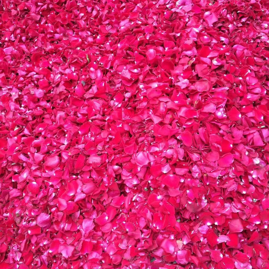 【玫瑰花瓣】云南玫瑰干花瓣SPA沐浴泡澡玫瑰花瓣泡脚足浴真花瓣