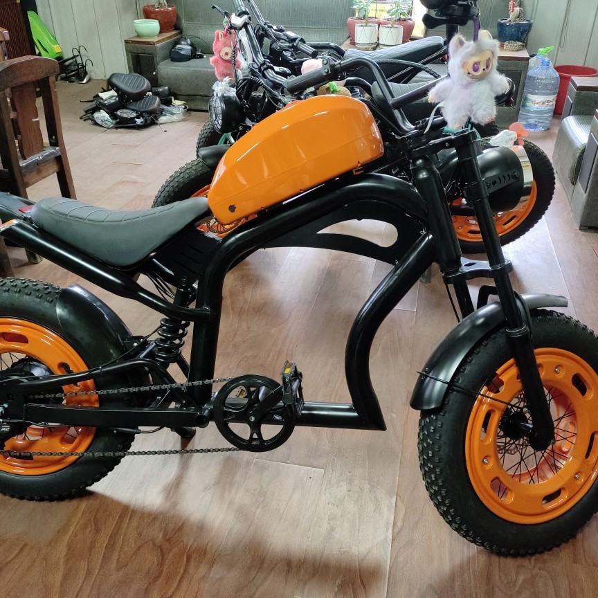 Dirt bike Harley-Davidson 48v20ah High-power fat tire electric-assisted off-road motorcycle Item Picture