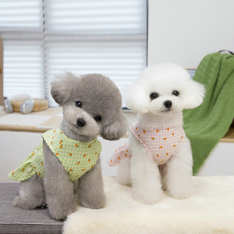 宠物衣服/宠物猫狗衣服/宠物服装/宠物狗狗衣服/狗狗衣服产品图