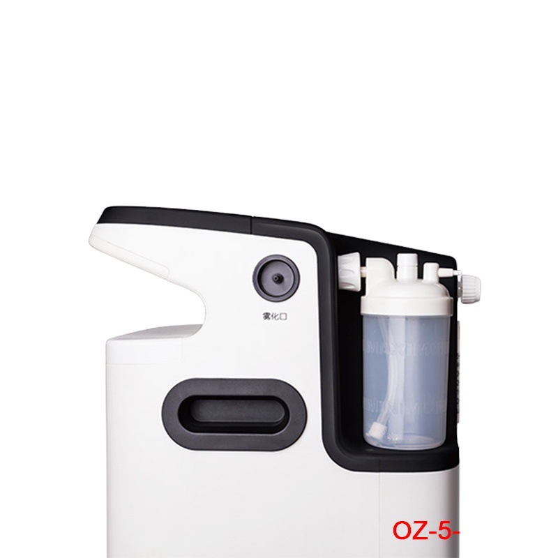 Cross-border exclusive supply 01-TWO Oxygen generator 5L Large capacity trolley type home Oxygen machine, Elderly Oxygen inhalation machine details Picture