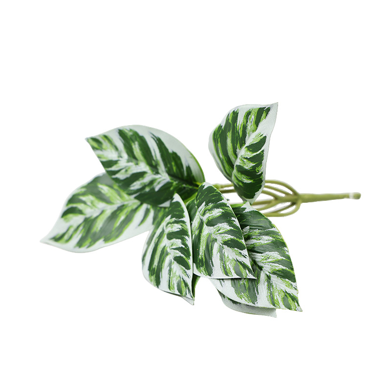 仿真绿植物镜片叶子圆贝叶中壁挂仿真绿植 婚庆造景搭配装饰树叶细节图