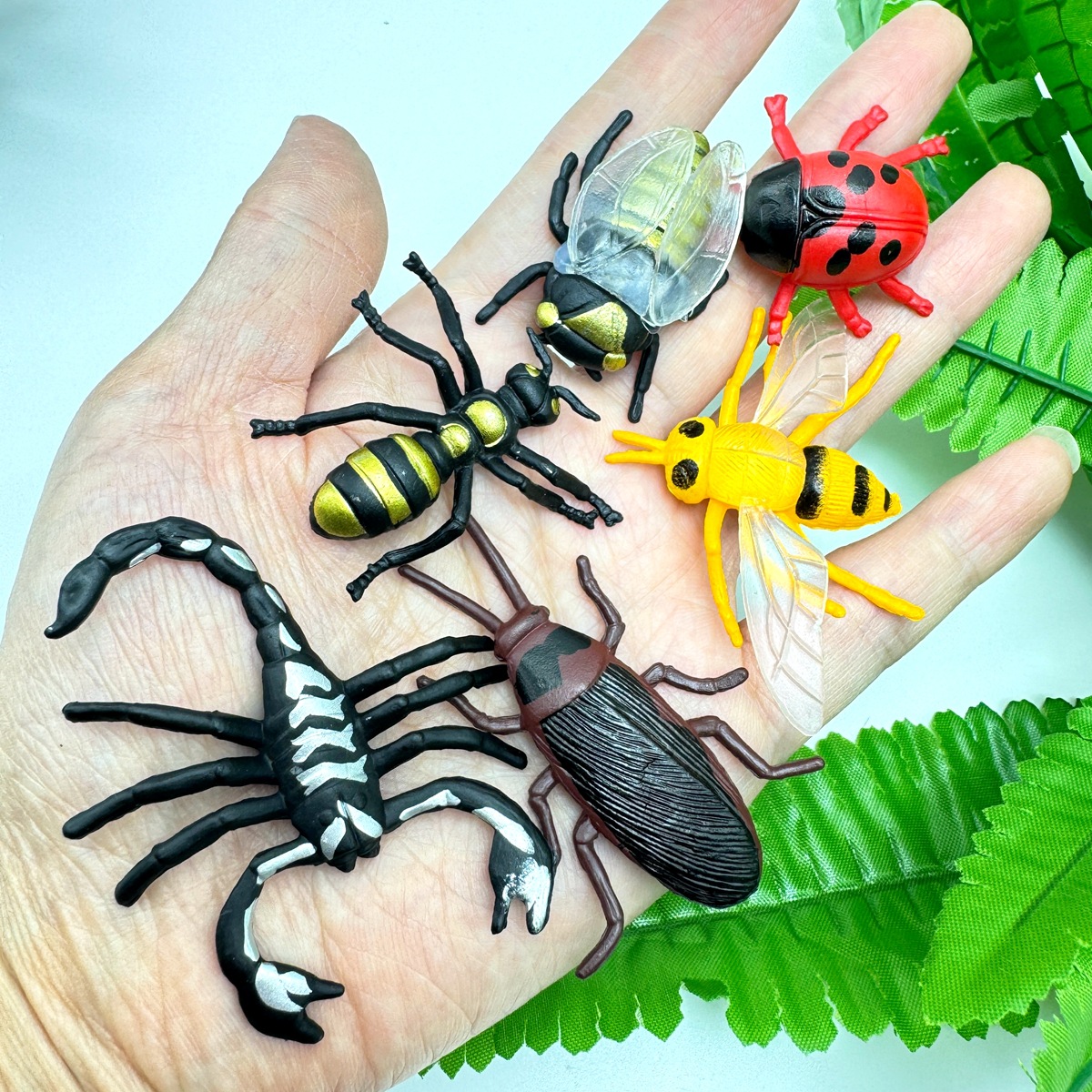 动植物/仿真模型实物图