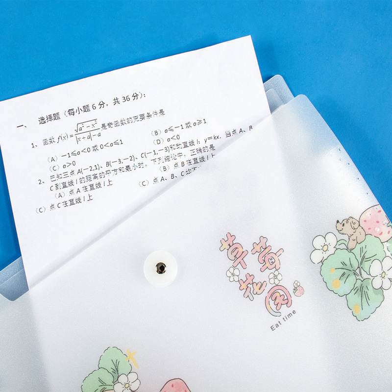 文件袋/牛皮纸档案盒/11孔文件/试卷袋/考试专用袋产品图