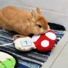 Rongka Pet Cross-border Colorful Theme Mushroom-shaped Pet Sniffing Mat, Olfactory Training and Intelligence Slow Food Mat, Hidden Food Mat Specification image