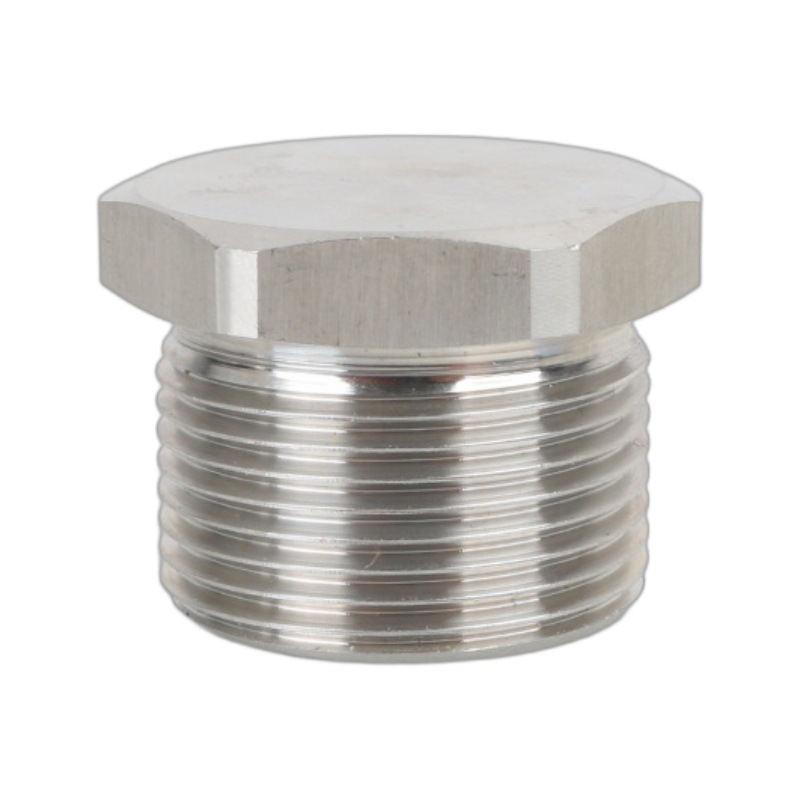 Stainless steel 304 plug, electrical wire plug, stainless steel screw-in plug, hexagonal solid sealed cover explosion-proof plug Item Picture