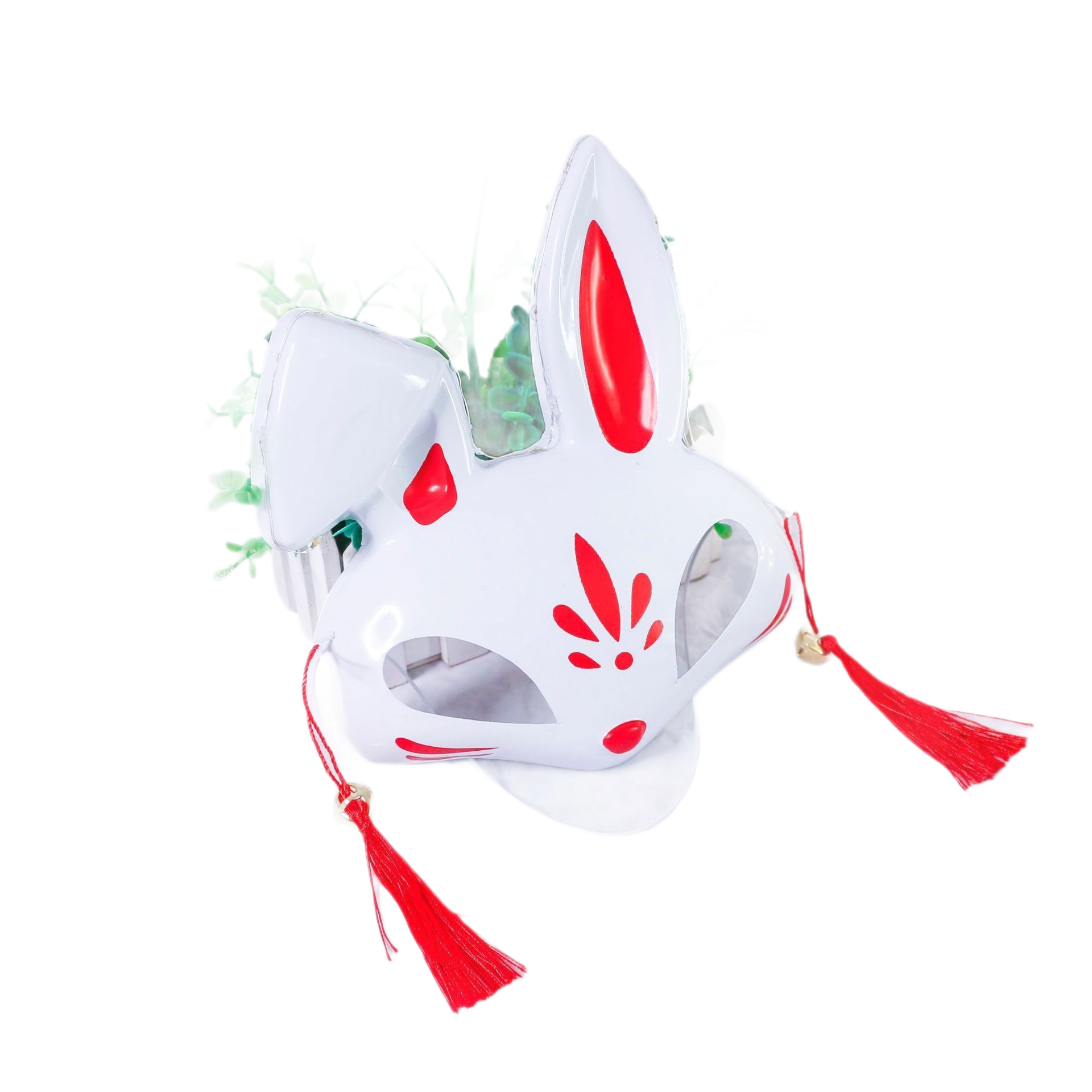 import白底实物图