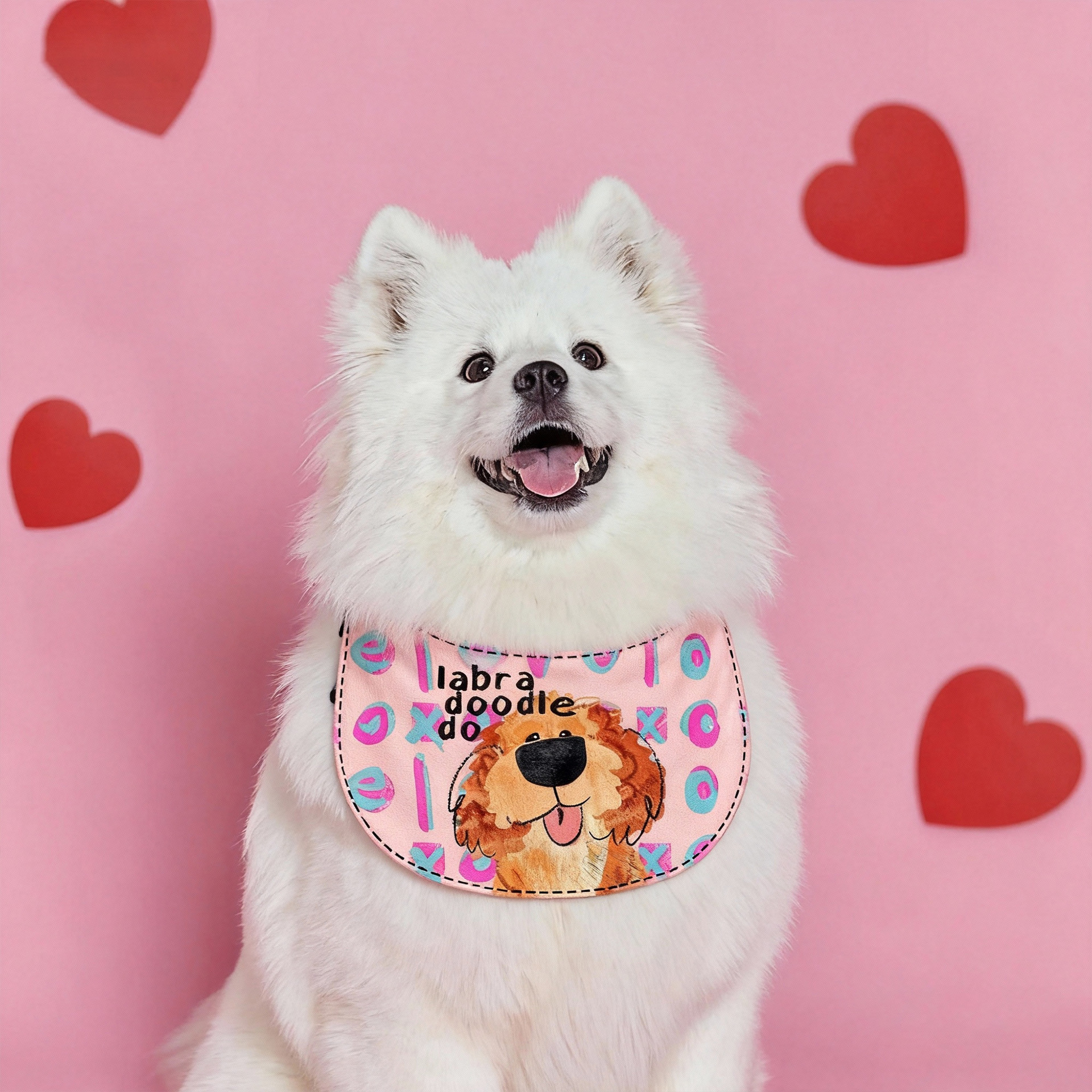 New popular cartoon round pouches for small, medium and large pet dogs, golden Retrievers, Labradors and multi-sided Collie bibs
