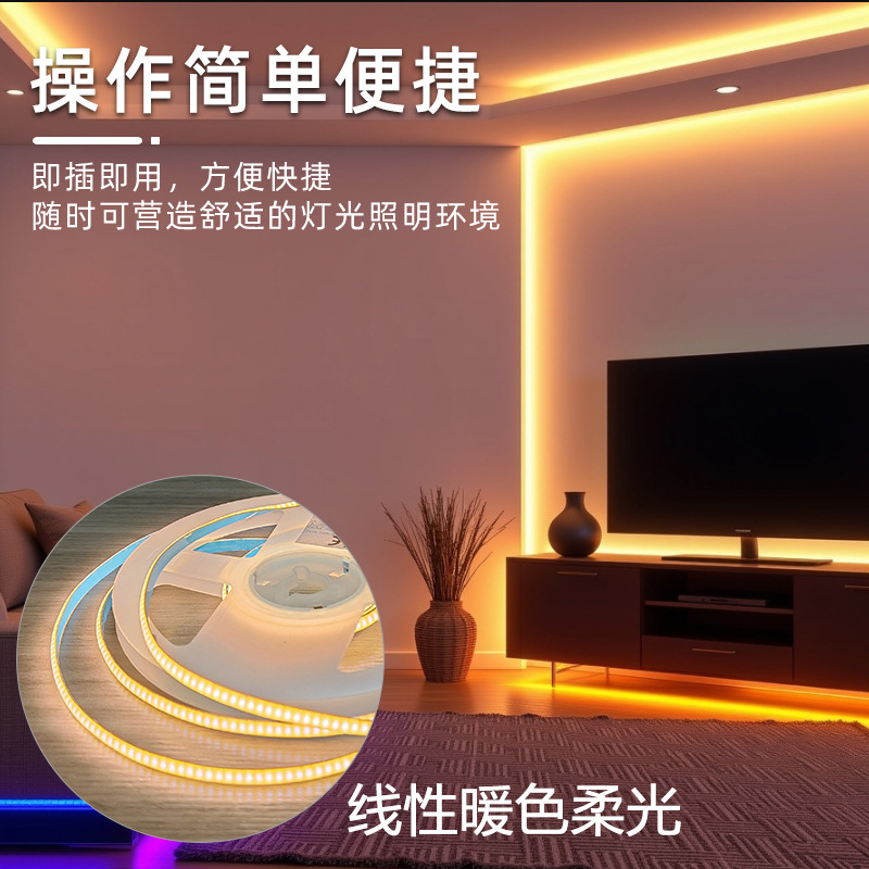 24V灯带/双色白色绿色灯带/灯条灯带/灯带/户外产品图