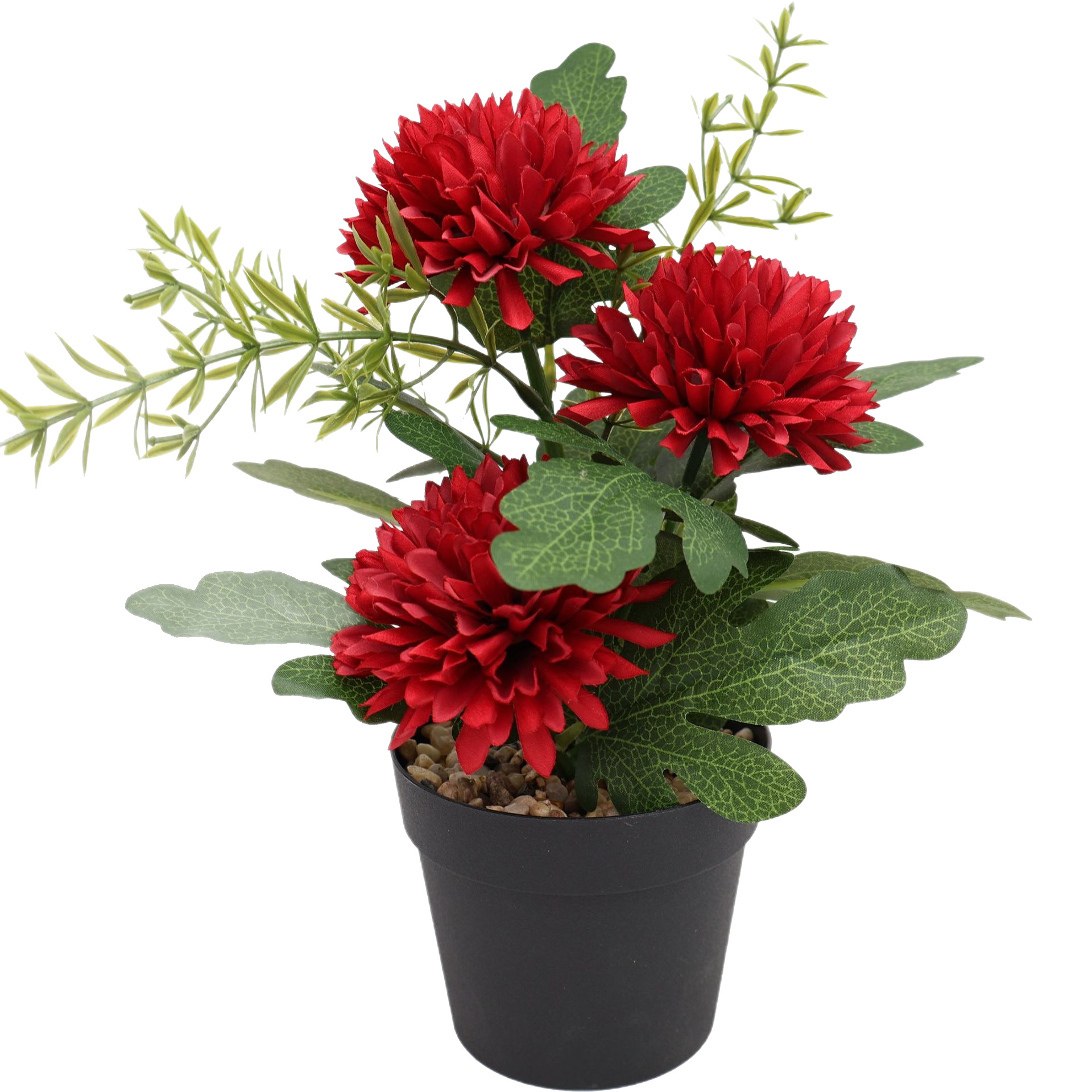 永生花/毛绒玩具花束/满天星/礼盒空/芦苇插花白底实物图