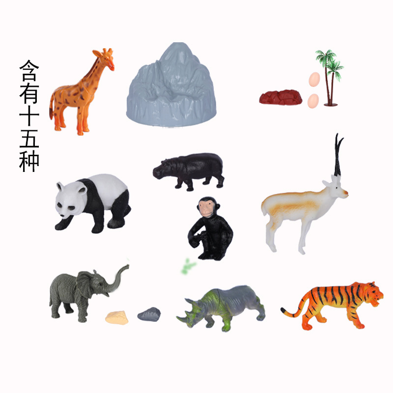 动植物/仿真模型实物图