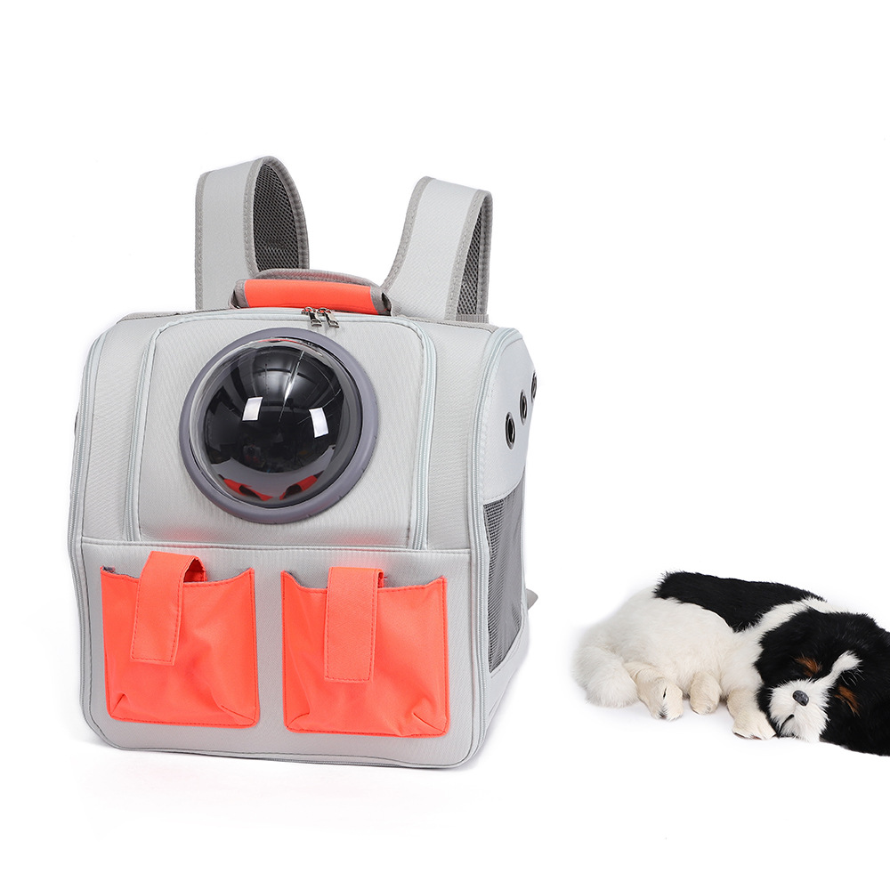 猫猫包、箱实物图