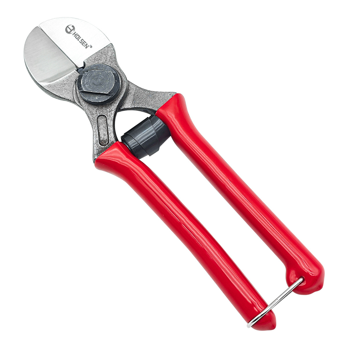 Holsen high-carbon steel professional 8" garden scissors, orchard pruning shears, apple picking shears factory direct sales Item Picture