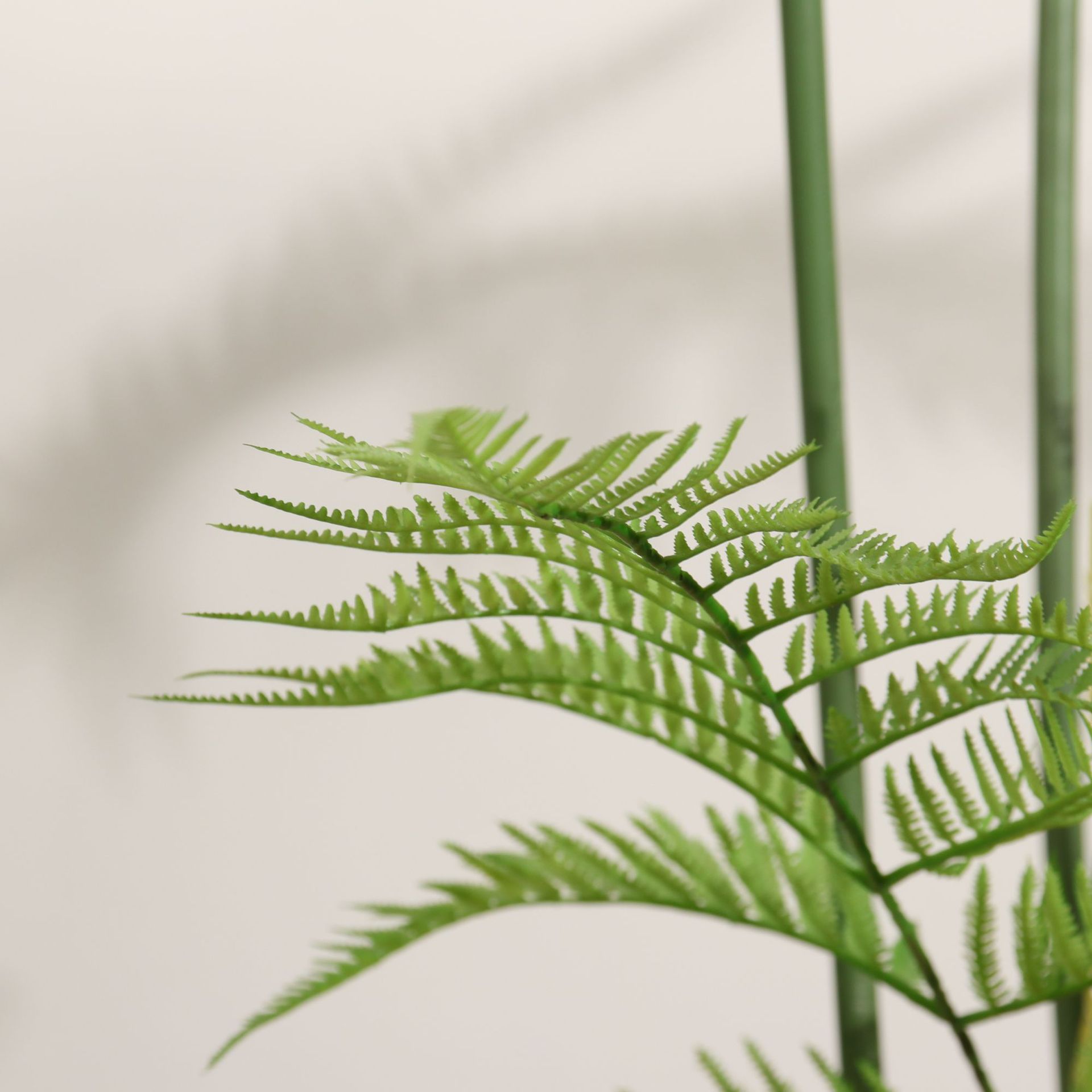 Simulated green plant Golden monkey head fern, indoor living room and bedroom, bionic green plant Golden silk fern, outdoor courtyard decorative potted plant Application Scenario