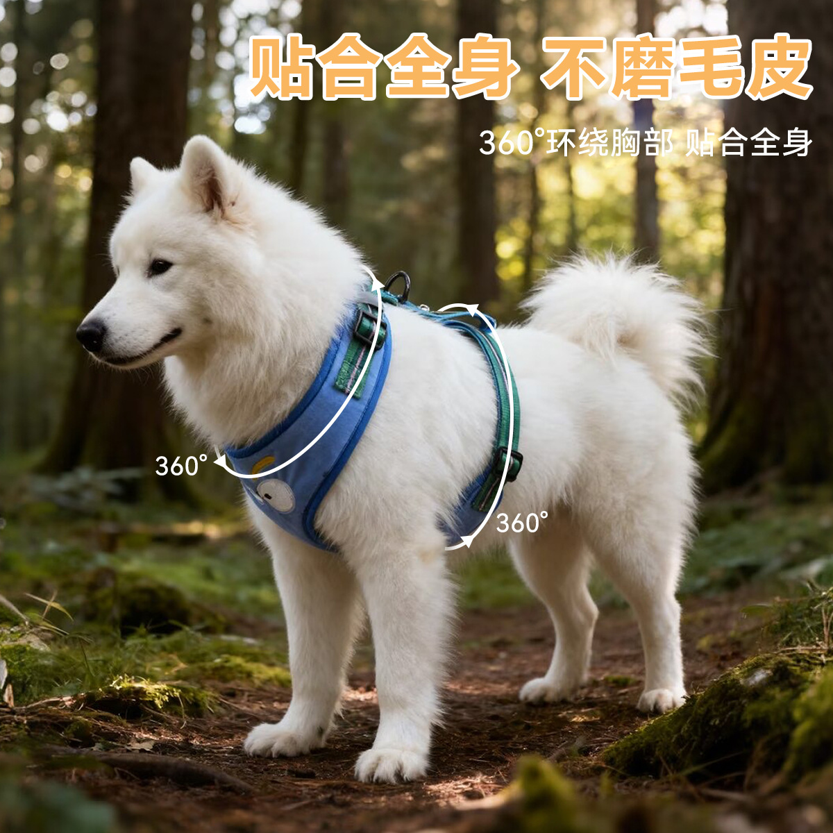 狗狗牵引实物图