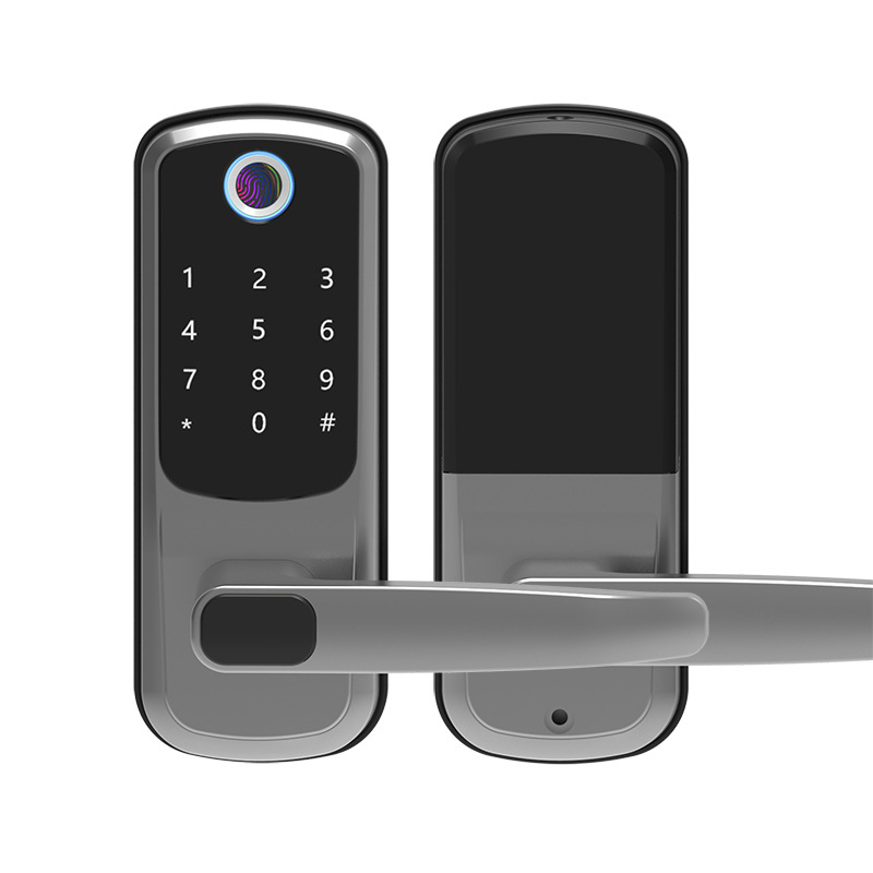 Cross-border European and American graffiti fingerprint lock, room bedroom smart lock, office apartment wooden door, APP password lock, small lock Item Picture