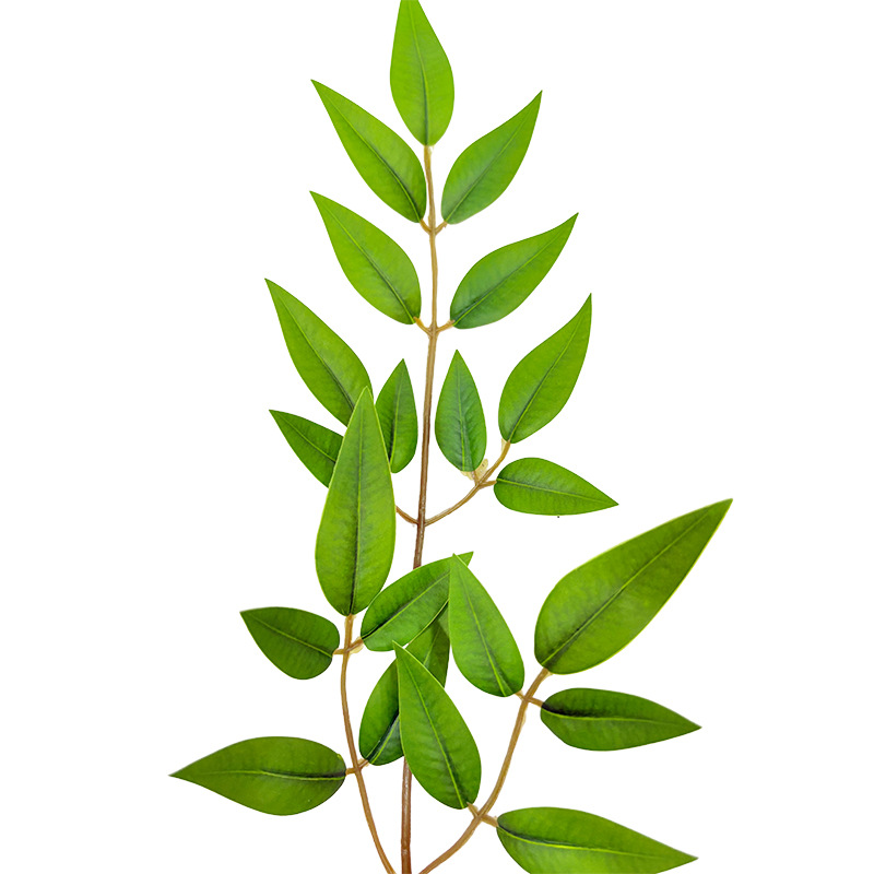 防真插花/多肉仿真花/微景观手工苔藓批发/针织花/仿真植物白底实物图