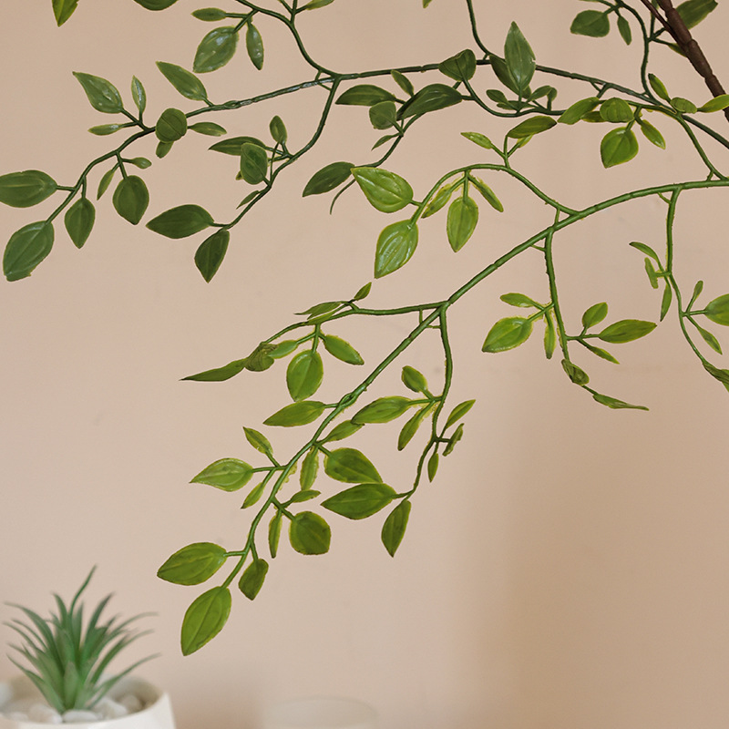 花盆装饰实物图