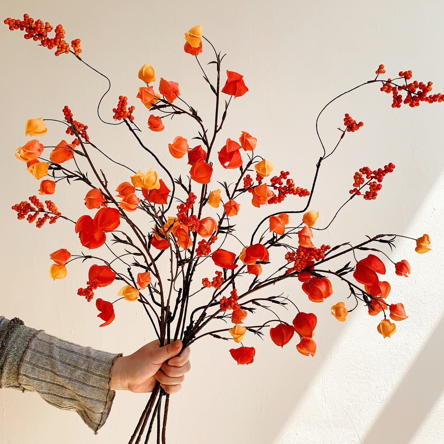 仿真植物实物图