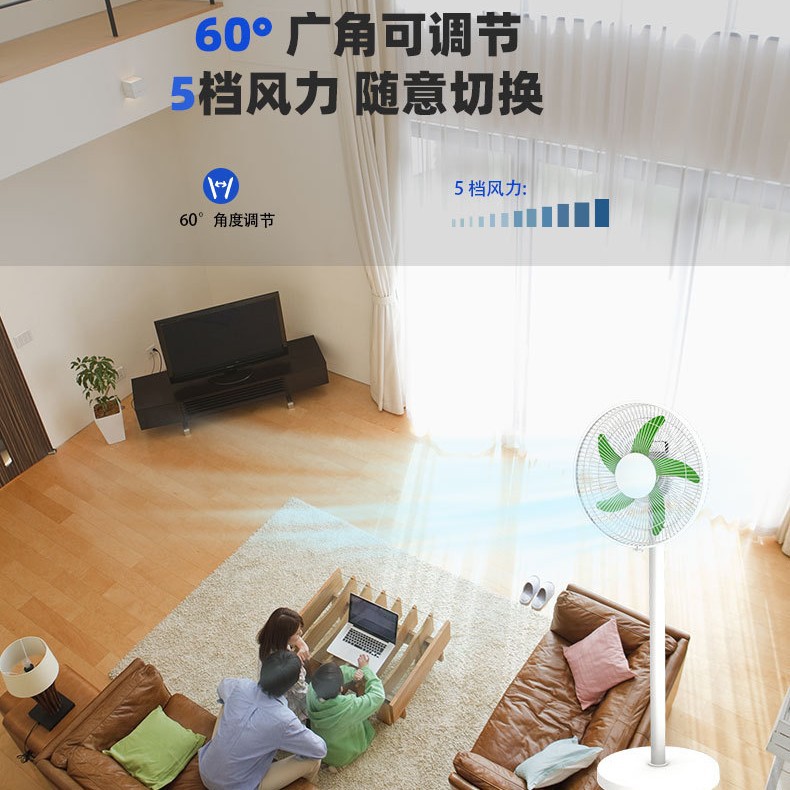 Evergreen Factory wholesals 14-inch five-in-one floor fans, household standing oscillating electric fans, and large cross-border fans from South America details Picture