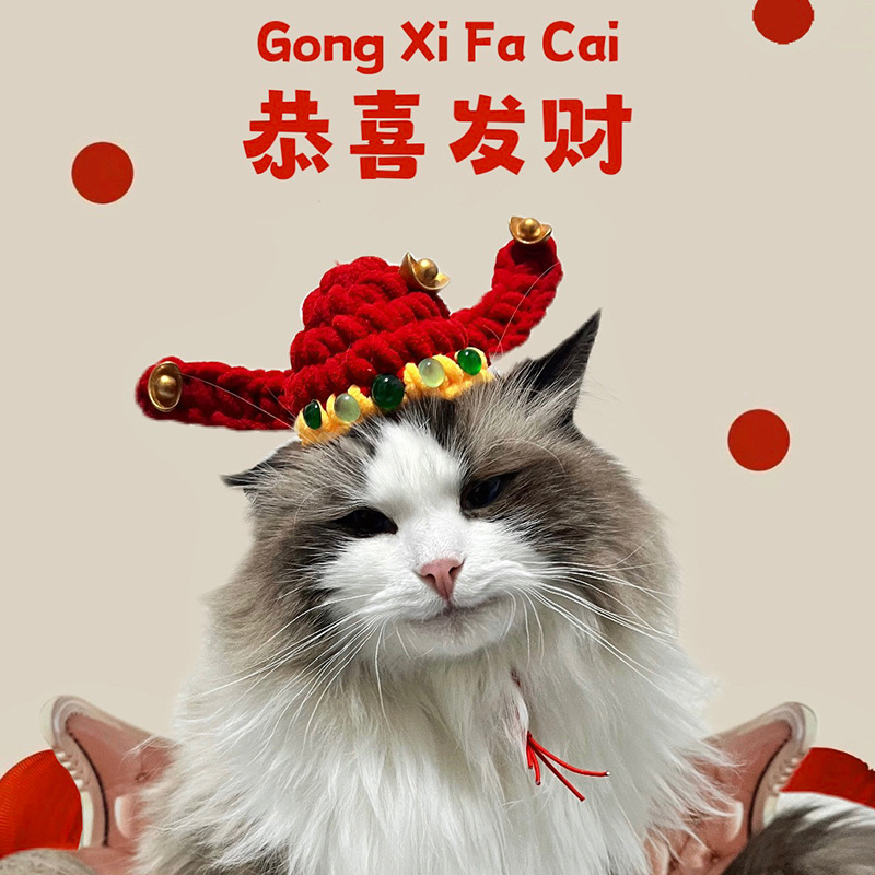 宠物财神爷帽子喜庆红色猫咪财神帽招财猫头套饰品狗狗过年拍照