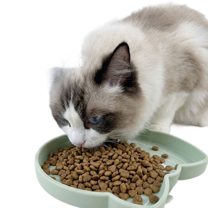 宠物用品/猫碗/喂食不锈钢/智能宠物用品/宠物用品自动喂食白底实物图
