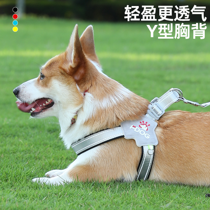 狗狗牵引实物图