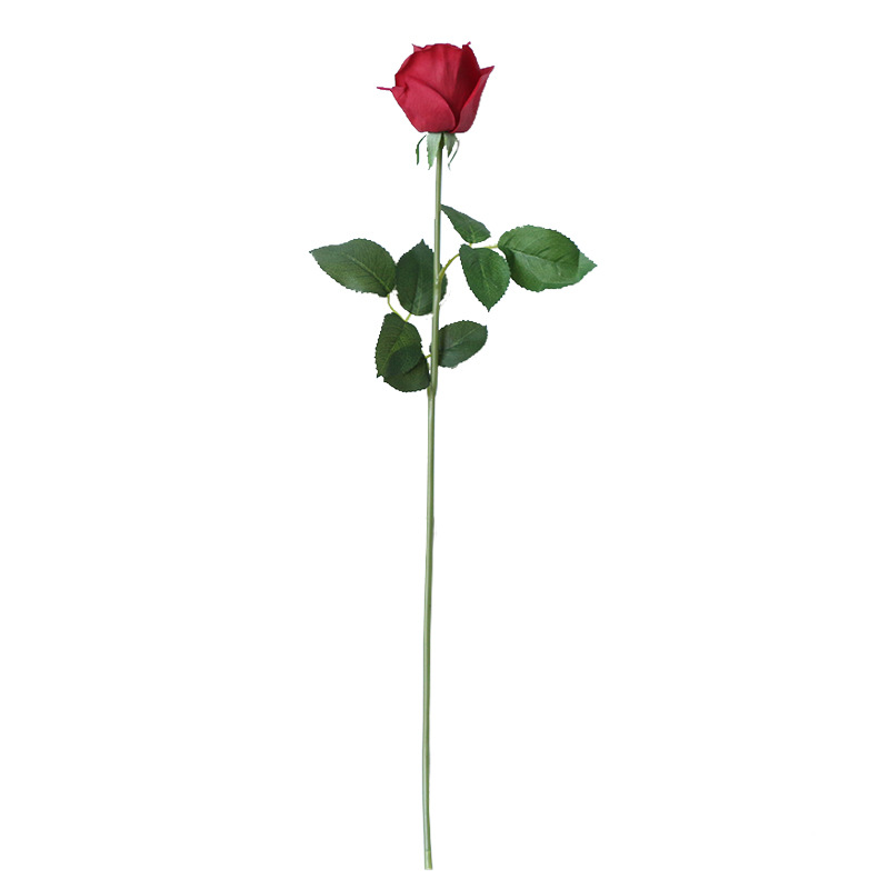 import白底实物图