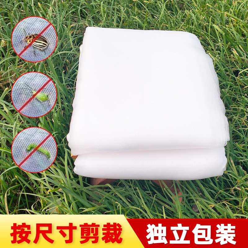 防虫网实物图