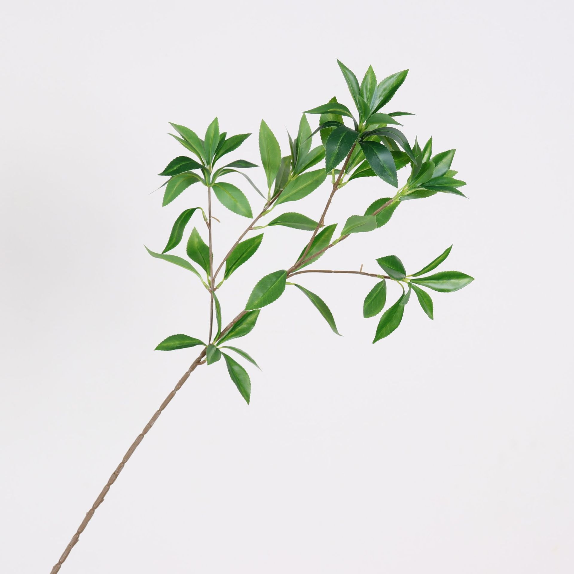 仿真马醉木单支把束室内装饰树枝胶片手感假树叶户外园林工程植物