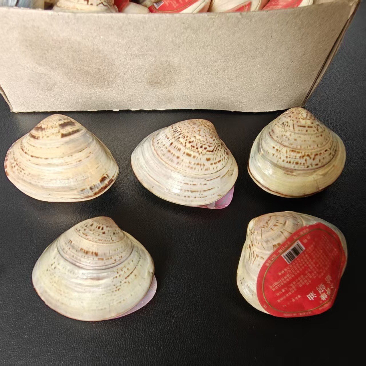 【2-11区】蛤蜊油 (型号：特3#) 50/盒 1000/蛤蜊油老国货贝壳油护手霜防裂干裂护肤老式嘎啦油歪子油1元批发产品图