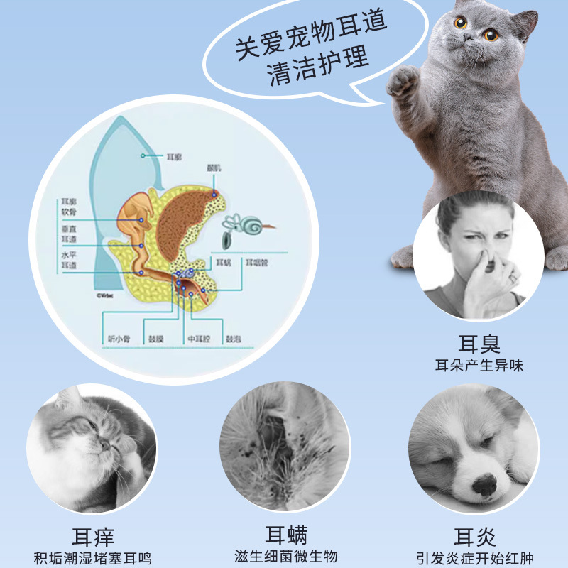 50 pet ear cleaning cotton swabs, containing earwax, ear mites, tear stains, liquid cotton swabs, ear cleaning water, suitable for cats and dogs Specification image