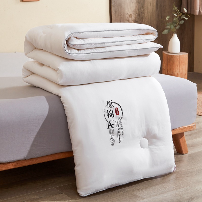 Japanese-style Class A soybean core double-person spring and autumn quilt, single-person thickened warm winter quilt, all-season suitable bedding Application Scenario