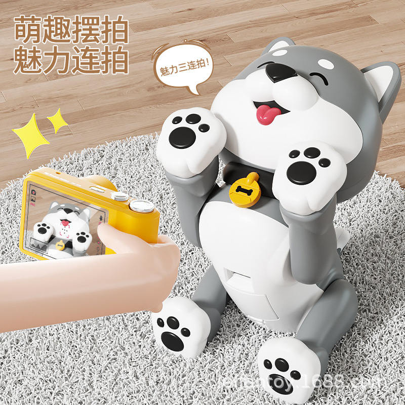 狗狗玩具实物图