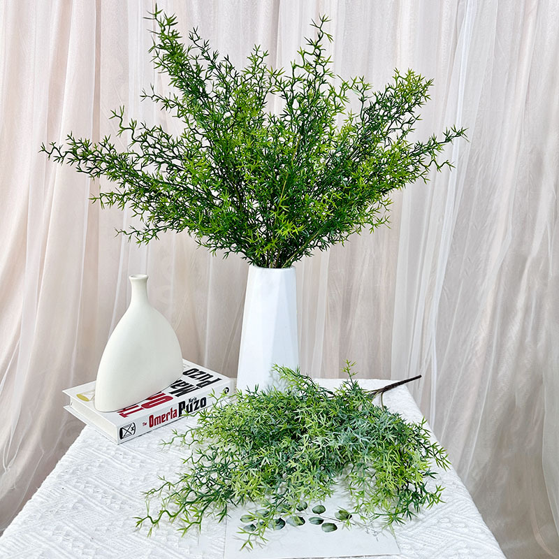 兰科植物实物图