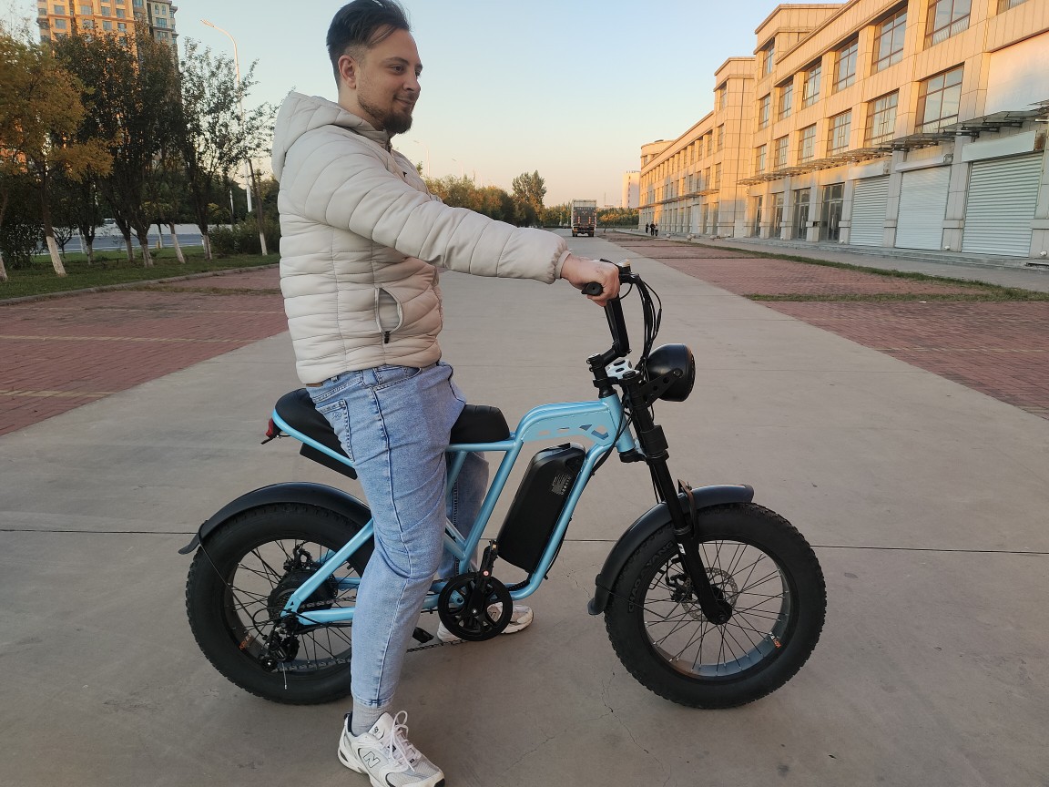 ebike lithium battery-powered snow bike 4.0 tire wide tire European 20-inch fat tire beach snow off-road single Item Picture