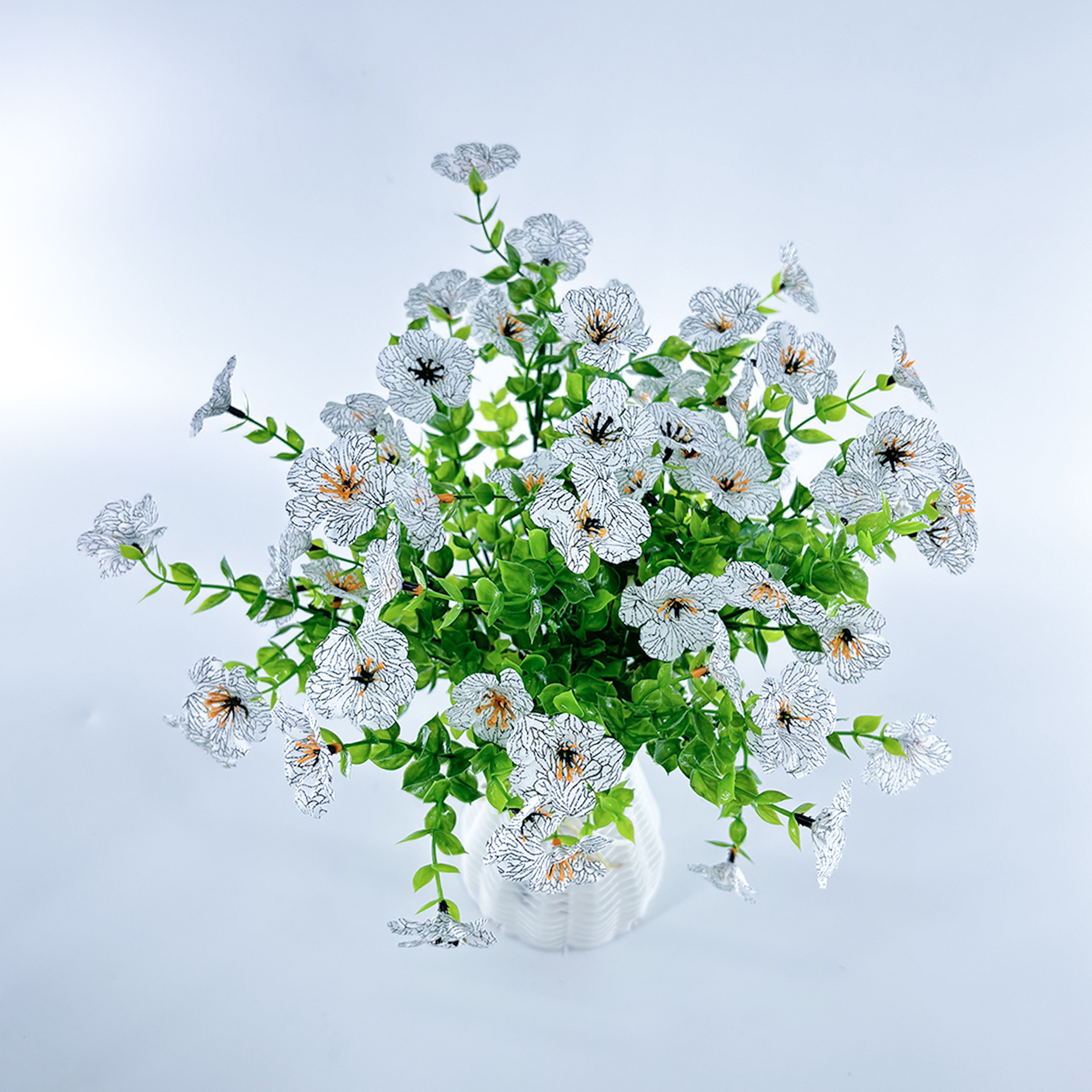 吊篮/吊椅实物图