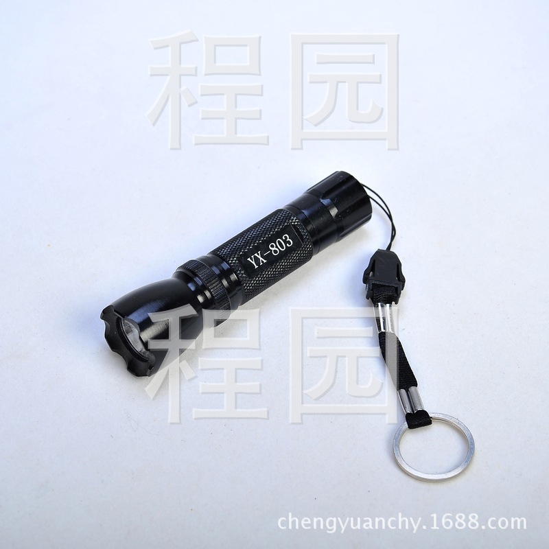 Waterproof LED Flashlight No. 5, 1 mini high-intensity small hand flashlight, company gift LOGO, battery AA