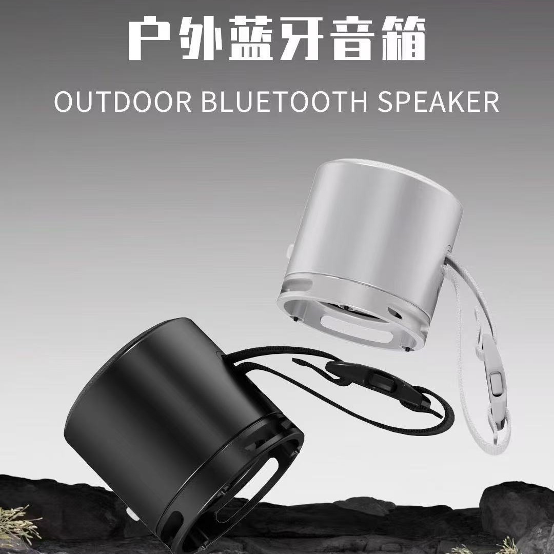 The new EWA Sound for Love EWA A168 outdoor portable Bluetooth speaker