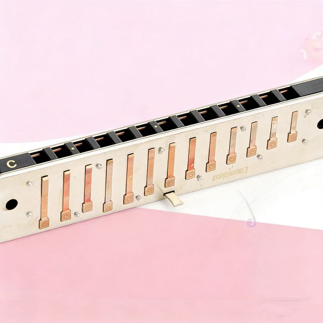 吹奏类乐器实物图