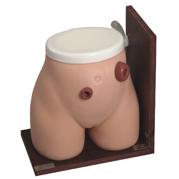 H38医学教学基础家政护理灌肠训练用品高级瘘管造口术护理模型