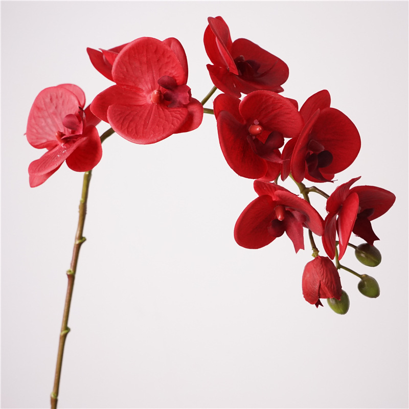 仿真手感10头洛桑蝴蝶兰家居婚庆餐桌插花花材花艺单支假兰花假花