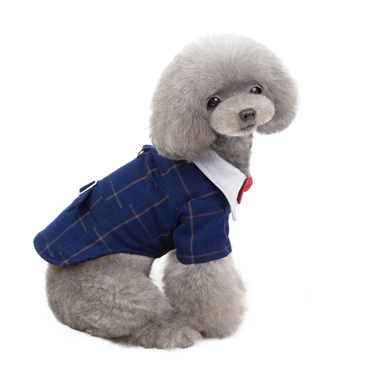 Otoño e invierno ropa de mascotas perro traje a cuadros cordón de arrastre colgante bipie inglés gran perro cross-border hot sale Specification image