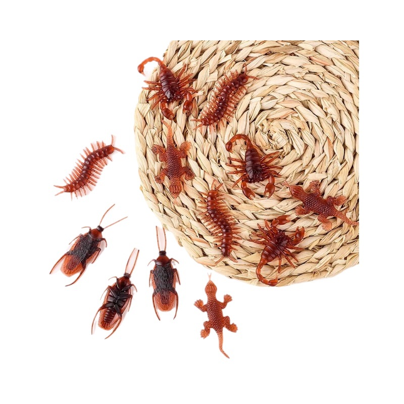 泡大珠白底实物图