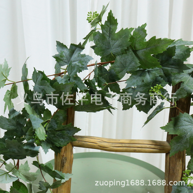 仿真葡萄藤软装植物壁挂庭院人造藤蔓家居空调管道装饰绿植白底实物图