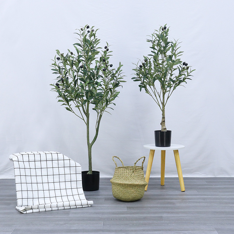 兰科植物实物图