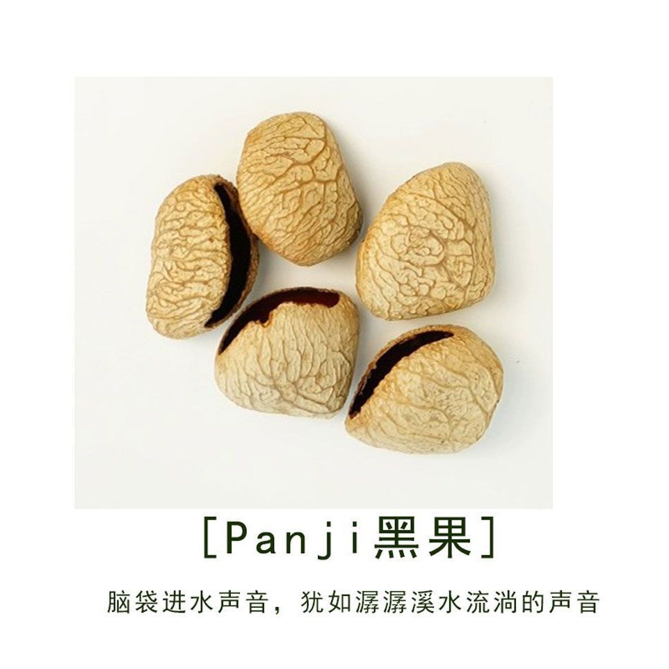 diy plant fruit shell material, handcrafted fruit shell hanging accessories, wind chime accessories, imported from Indonesia, niche Application Scenario
