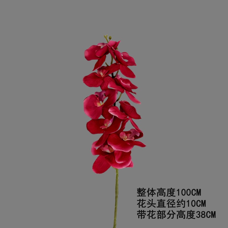 仿真草皮实物图