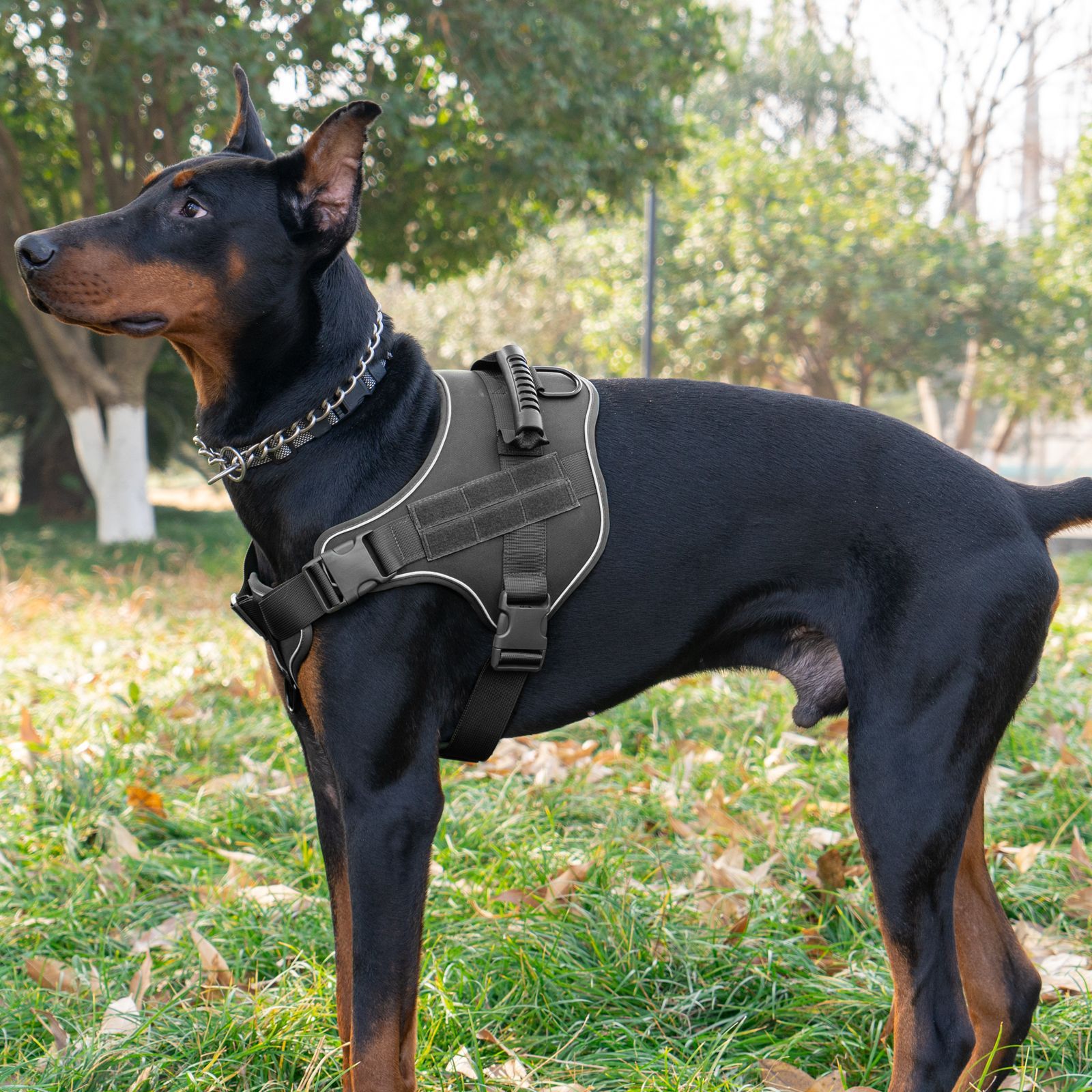 Wholesale of cross-border explosion-proof pet chest and back straps, medium and large-sized dog leashes, and breathable tactical dog leashes for fierce dogs