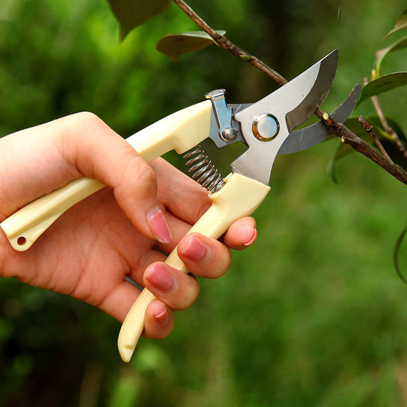 Stainless steel flower shears, pruning shears, branch shears, garden shears, thick branch shears, garden shears, fruit tree shears, hardware tools details Picture