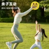 Wholesale cartoon frisbees, children's soft flying saucers, children's plastic pet dogs, outdoor toys for kindergartens Specification image